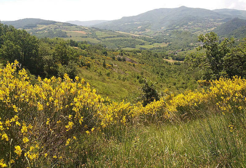 Oasi naturalistica del Carmine